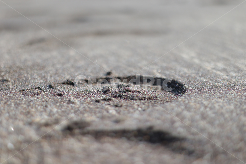 모래,발자국,sea,sand,footprint,검은모래