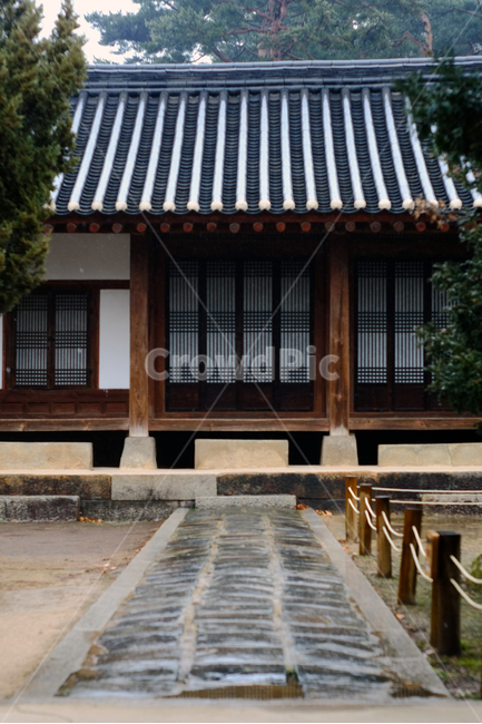 roof,지붕,기와,전통한옥,옛집