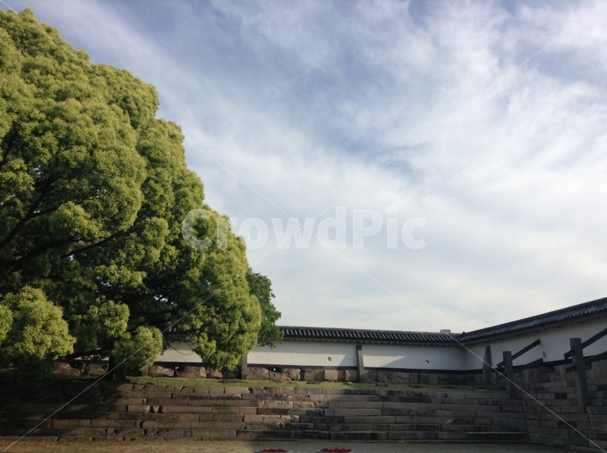 세계,여행,풍경,하늘,간사이,오사카,오사카성,나무,traverl,view,sky,kansai,osaka,tree,랜드마크,landmark,tourist attraction,해외,외국,세계,foreign,oversea,world,세계랜드마크,해외랜드마크,외국랜드마크,world landmark,world tourist attraction,plant,식물