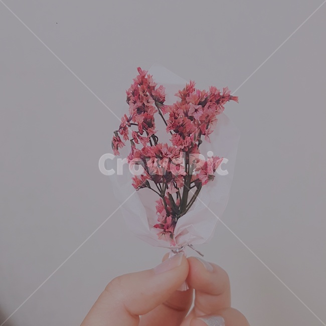 꽃,풀,조화,꽃다발,flower,bundle,꽃,flower