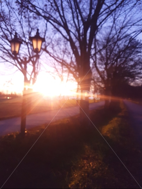 노을,풍경,가로등,가을,분위기,기분전환,자연,풍경,nature,landscape,flare,플레어,light,빛