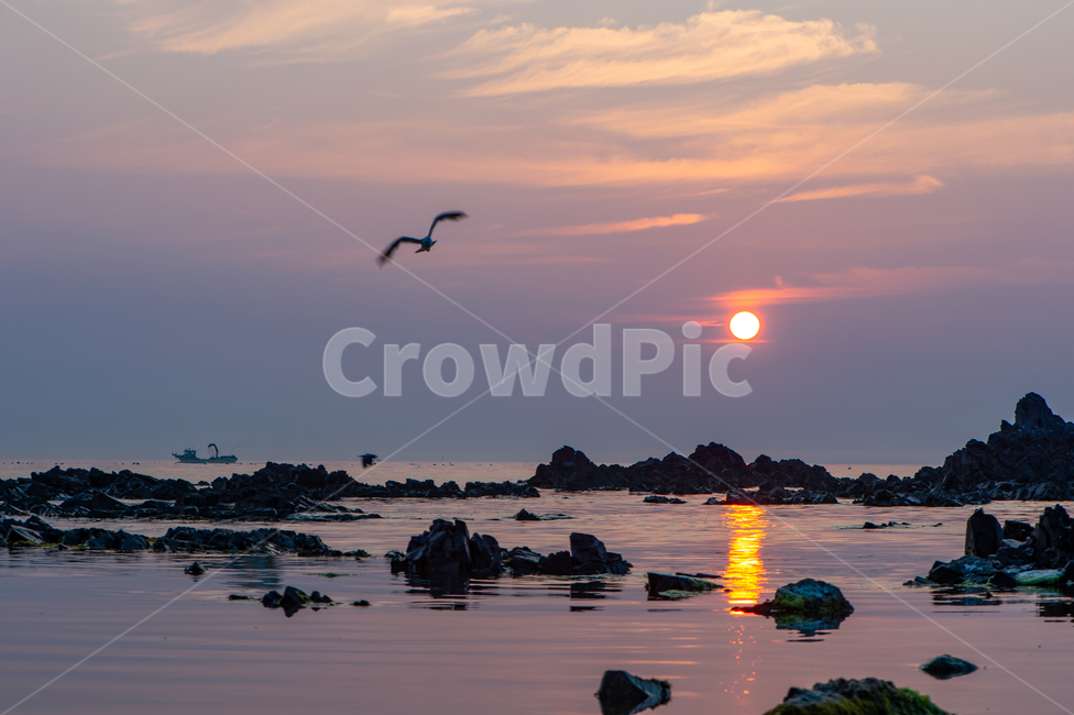 바다,일출,섬,하늘,sky,nature,새벽,갈매기,자연,자연,풍경,nature,landscape