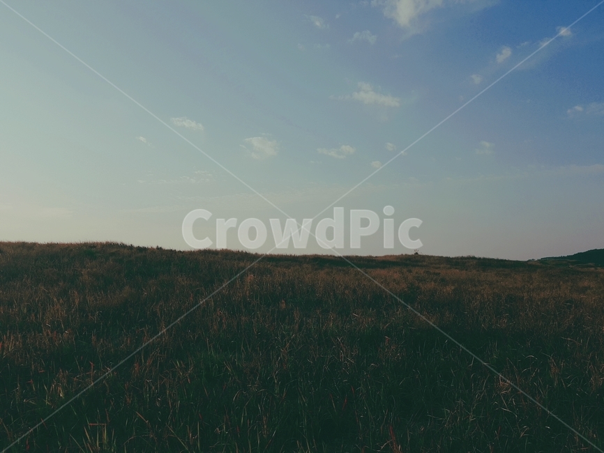 nature,grassland,wetland,autumn,green,grass,sky,자연,들,들판,하늘,가을,목초지