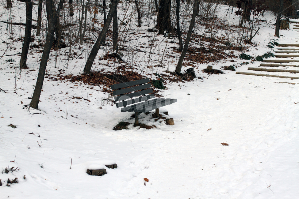겨울,공원,겨울공원,겨울의자,감성사진,겨울,계절,winter,season,자연,풍경,nature,landscape,bench,벤치