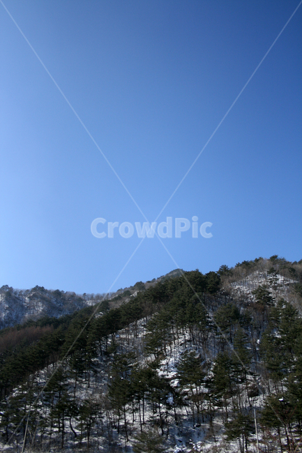 풍경,하늘,겨울,산,나무,눈,겨울,계절,winter,season,자연,풍경,nature,landscape,slope,경사,outdoors,옥외,tree,plant,식물