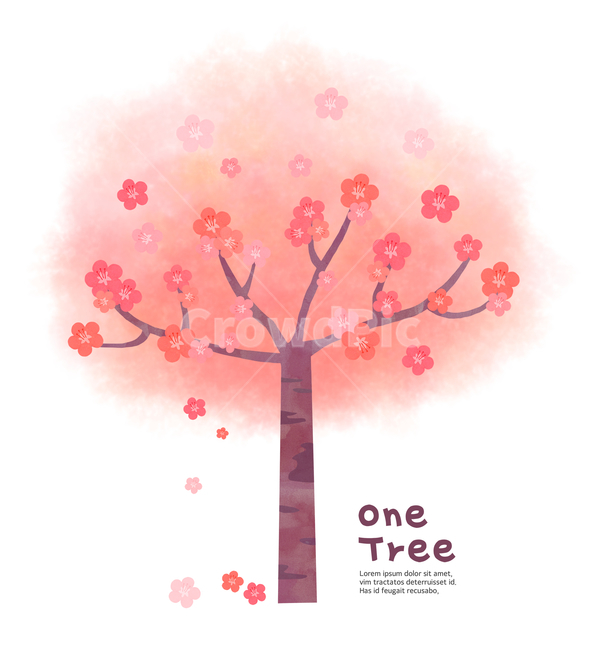벚꽃나무,벚꽃,꽃나무,나무,감성,식물,자연,봄,계절,spring,season,식물,자연,plants,nature,꽃,flower,나무,trees,wood,그래픽,일러스트레이션,graphic,illustration,plant