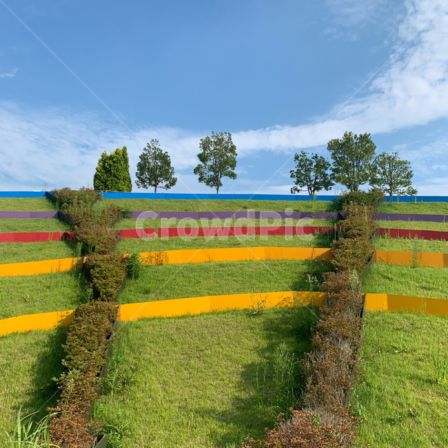순천,field,들,순천만국가정원,국가정원,suncheon,nature,자연,옥외,outdoors,hill,언덕,여름,summer