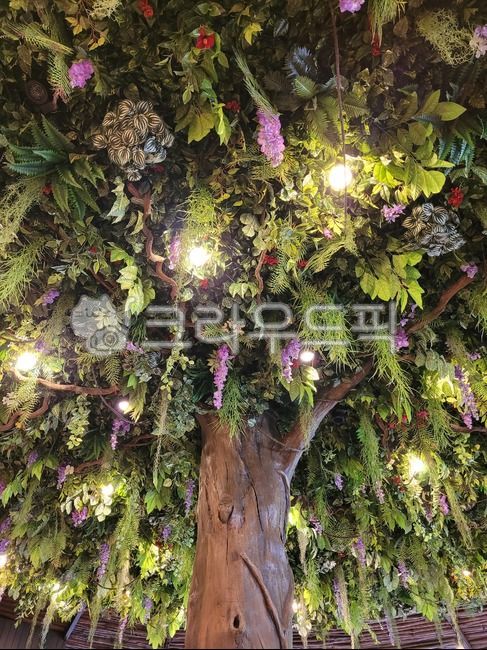 Harmony,plant,tree,fake plant,flower,Inside the cafe