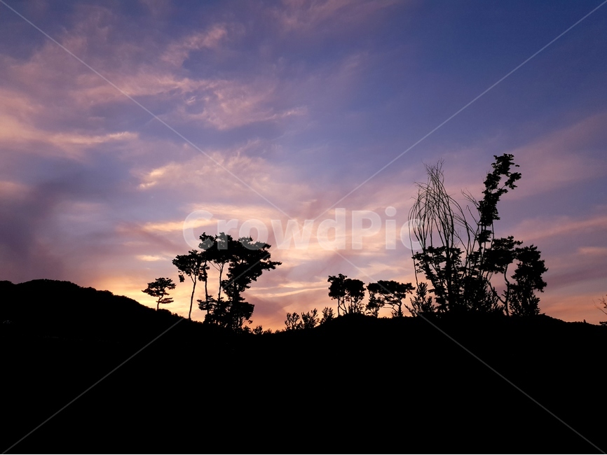 일몰,노을,공원,하늘,구름,풍경,저녁,자연,풍경,nature,landscape,실루엣,그림자,silhouette,shadow,outdoors,옥외,sky,dusk,황혼,red sky,붉은 하늘,dawn,새벽,sunset