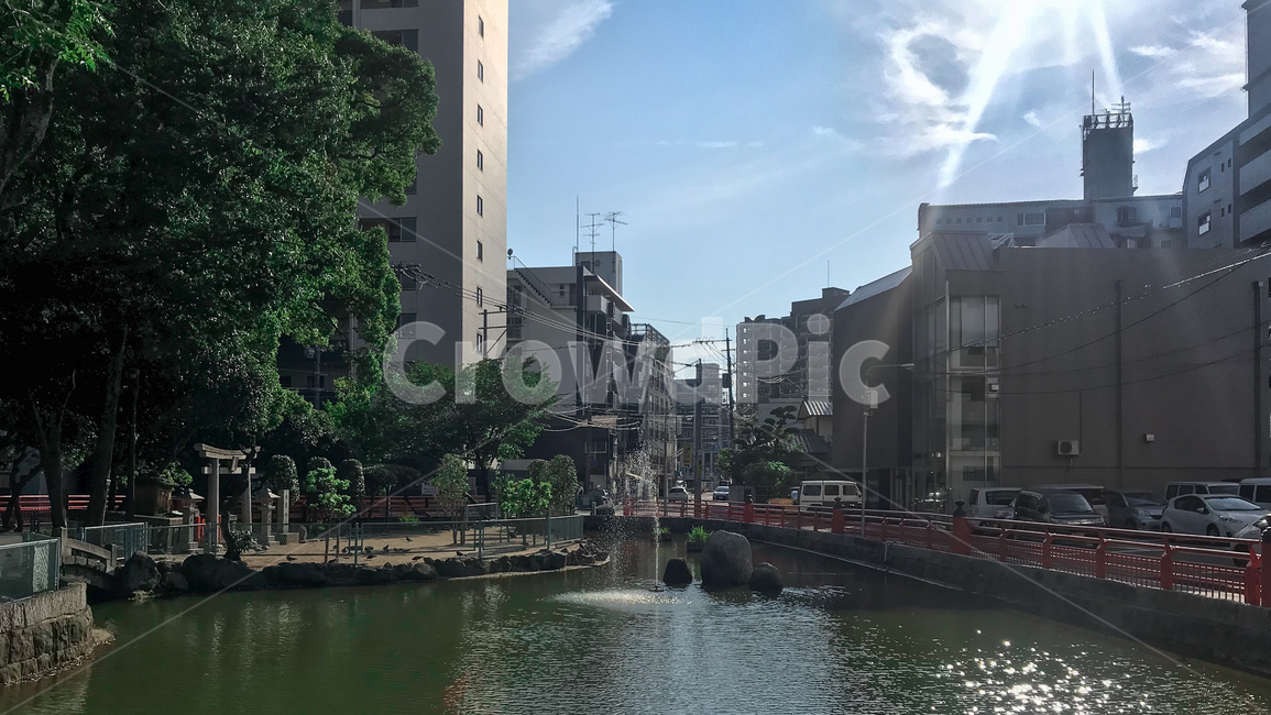 여름,도시,초록,햇빛,도심,일본,도시,풍경,city,landscape,해외,외국,세계,foreign,oversea,world,세계도시풍경,해외도시풍경,외국도시풍경,world cityscape,water,물,outdoors,옥외