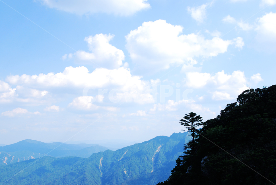 설악산,구름,산,능선,하늘,맑음,파랑색,블루,sky,cloud,clean,환경,바탕,배경,백그라운드,푸른,화창한,background,청명,blue,산아래,풍경,landscape,등산,mountain,healing,힐링,뭉게구름,맑은날,높은산,산위에서,한계령,나무,홀로,자연,풍경,nature,landscape,한국자연풍경,한국자연경관,korea nature landscape,outdoors,옥외,weather,날씨,mountain range,산맥,cumulus,적운