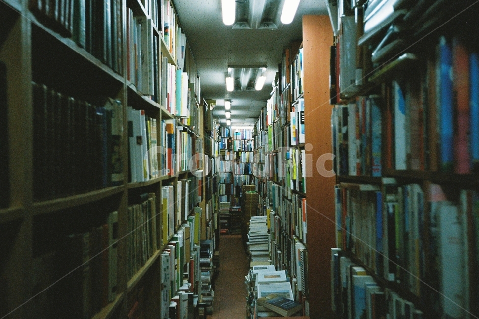 책방,책,book,서점,동묘,몽환적,우울,필름,필름사진,교육,학교,공부,education,learning,study,school