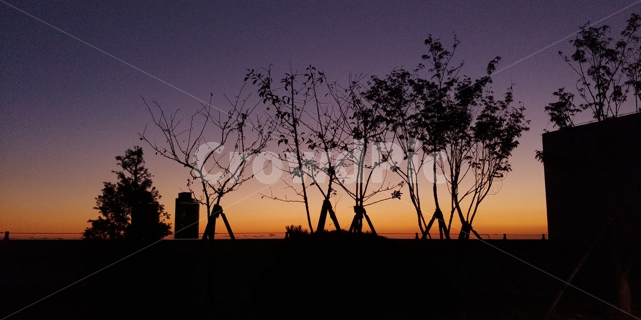 하늘,밤하늘,풍경,야경,노을,해질녘,저녁,석양,자연,경치,sunset,sky,nature,따듯한,운치있는,분위기있는,그림같은,도시,풍경,city,landscape,실루엣,그림자,silhouette,shadow,outdoors,옥외,dusk,황혼,red sky,붉은 하늘,dawn,새벽,일몰