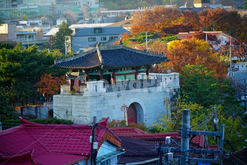 서울,종로구,조선시대,조선왕조,역사,문화재,유적지,한양도성,성곽,성벽,성문,한국,코리아,한국문화,한국전통,korea,seoul,나무,자연,나뭇가지,가을,계절,tree,fall,autumn,culture,tradion,한옥,전통,문화,하늘,season,건축,건물,토목,건설,풍경,landscape,nature,경치,지붕,처마,토우,홍화문,혜화문,동네,마을,거리,castle,캐슬,성,가로등,등불,전깃불,히스토리,history,용마루,추녀마루,내림마루,잡상,와제,10신상,한국풍경,한국자연,한국적인,한국전통,한국문화,korean traditional,korean culture,랜드마크,landmark,tourist attraction,한국랜드마크,한국관광지,한국명소,korea landmark,korea tourist attraction