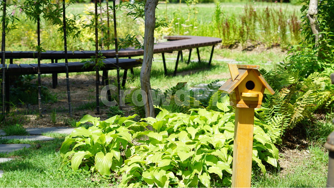 공원,풀,풍경,여의도공원,숲,자연,풍경,nature,landscape