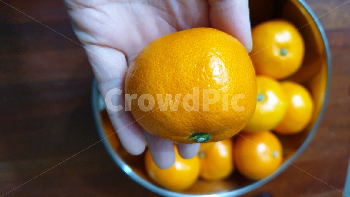식품,orange,과일,plant,귤,제주도,주황색