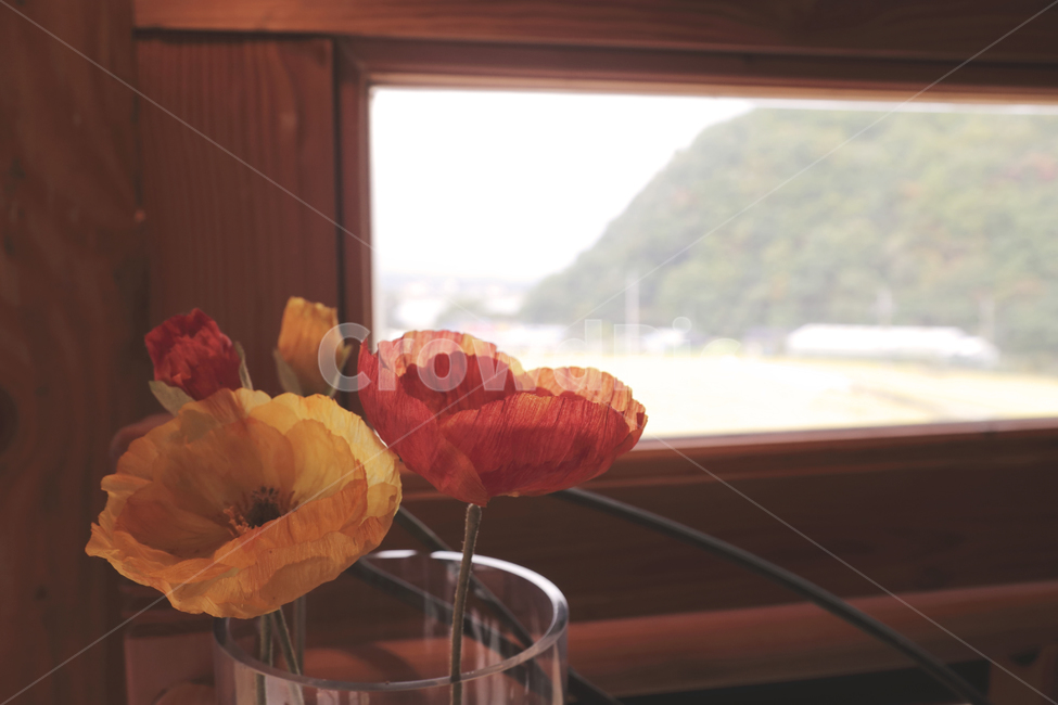 꽃,화분,맛집,인테리어,감성,flower,cafe,식물,자연,plants,nature,실내디자인,interior,design,sensible,feeling,자연광,아날로그,필름,카페,빈티지,human