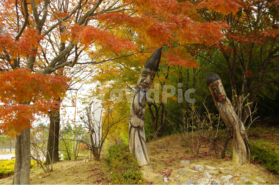 장승,한국,전통,나무,나무장승,단풍,가을,가을,계절,fall,autumn,season,한국전통,한국문화,korean traditional,korean culture,식물,자연,plants,nature,나무,trees,wood,조각상,동상,석상,조형물,statue,bronze statue,stone statue,tree,plant,leaf,잎,tree trunk,나무 줄기