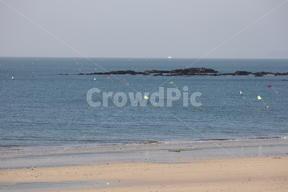 대천해수욕장,바다,겨울바다,해변,모래,자연,풍경,nature,landscape,ocean,대양,water,물,outdoors,옥외,sea,shoreline,해안선