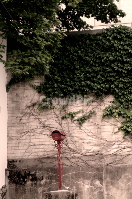 부암동,서울,풍경,종로구,plant,식물,우체통,우편함,담장,감성사진