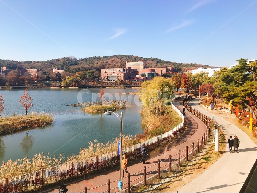 자연,nature,물,water,산책,walk