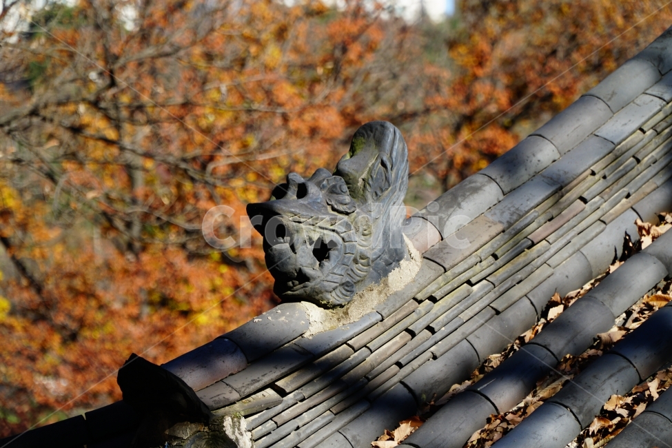 한국,한국전통,한국문화,전통,문화,한옥,불교,사찰,절,종교,korea,seoul,tradition,custom,culture,Buddhism,기와,지붕,처마,건물,건축,나무,가을,tree,autumn,fall,season,계절,나뭇가지,자연,nature,용머리,용두,문화재,landscape,역사,히스토리,history,11월,dragon,드래곤,동물,animal,조각,조형,미술,예술,한국풍경,한국자연,한국적인,한국전통,한국문화,korean traditional,korean culture,건축물,건물외관,exterior,building,structure,architecture,construction