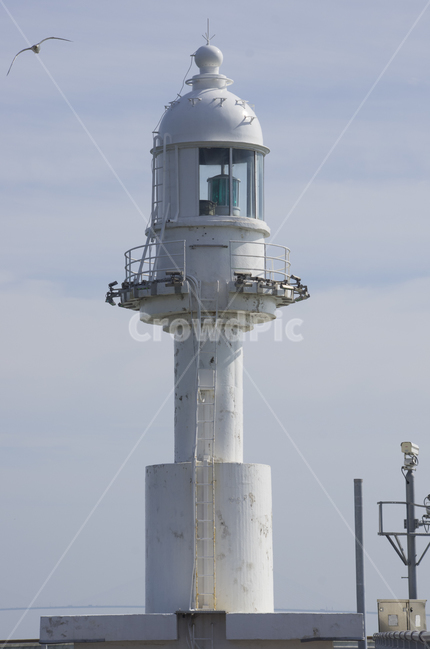 등대,하얀건물,바다,하늘,갈매기,라이트하우스,흰집,등대,lighthouse