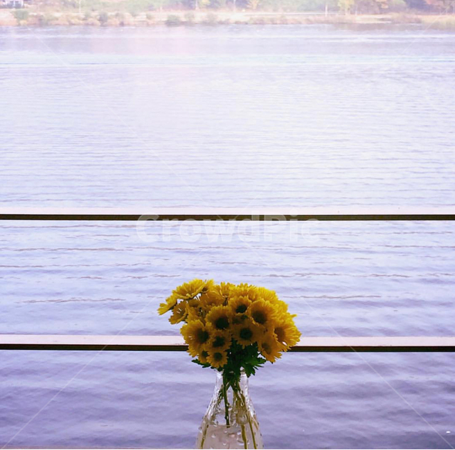 힐링,강가,여유,꽃,물결,실내용화초,화분,화초,house plant,감성,sensible,feeling