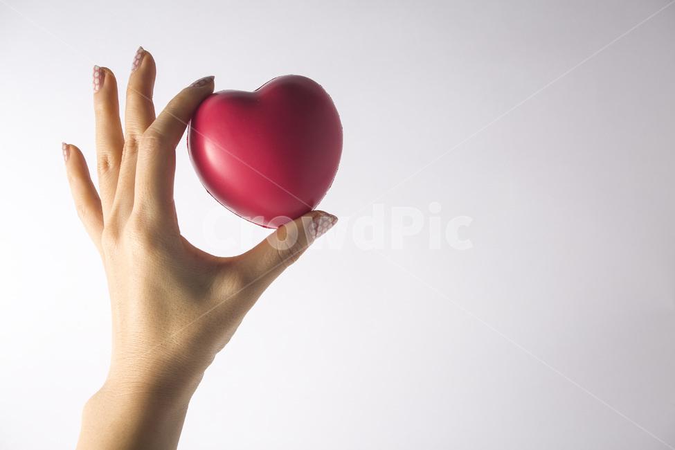 손,손모양,제스처,손짓,왼손,여자손,사람,하트,사랑,감정표현,기분,feeling,emotion