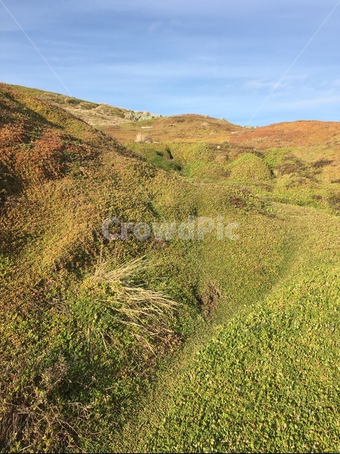 자연,들판,잔디,호주,산,언덕,멜버른,대자연,따뜻한,nature,hill,countryside,outdoors,옥외,austaila,melbourne,섬,island,자연,풍경,nature,landscape