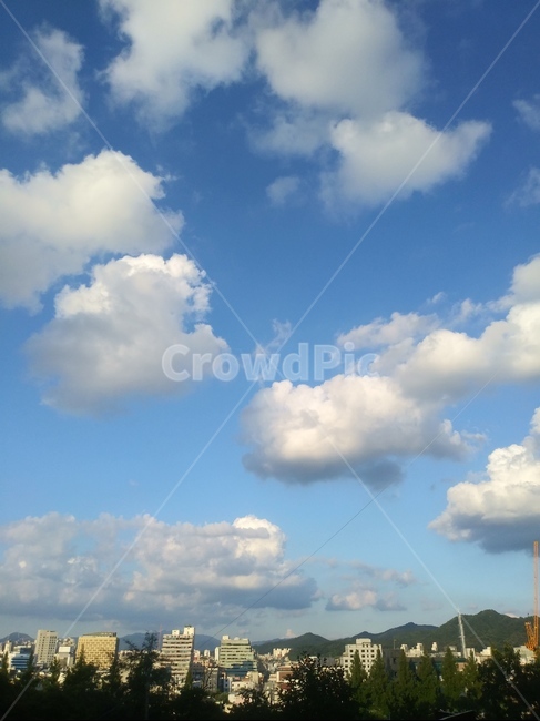 날씨,weather,nature,구름,cloud,하늘,적운,cumulus