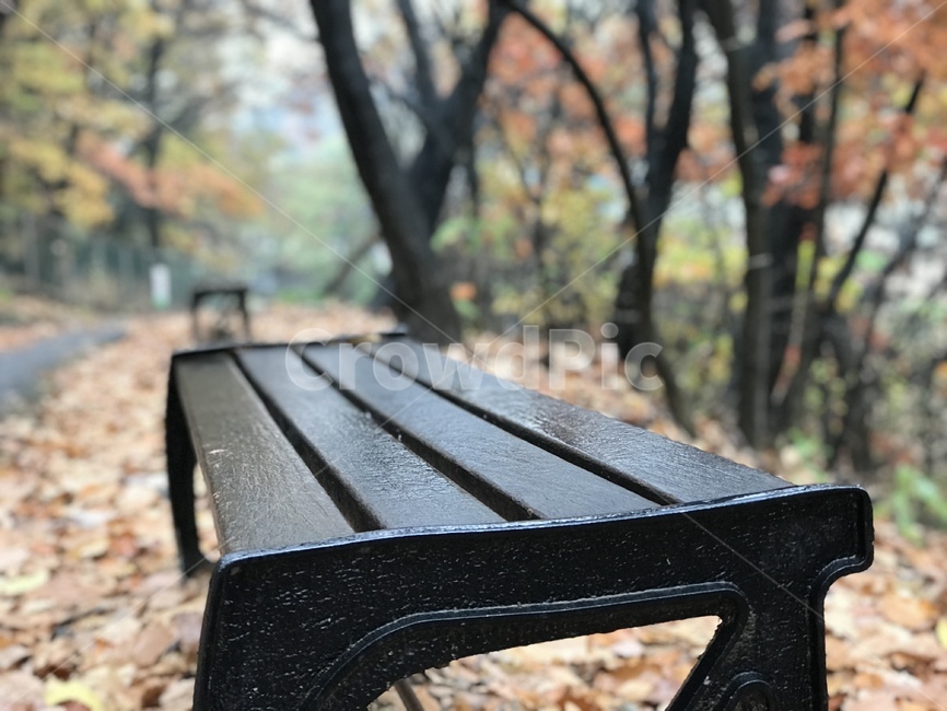 가구,bench,벤치,공원벤치,공원,의자,엔틱가구,비,가을,계절,fall,autumn,season