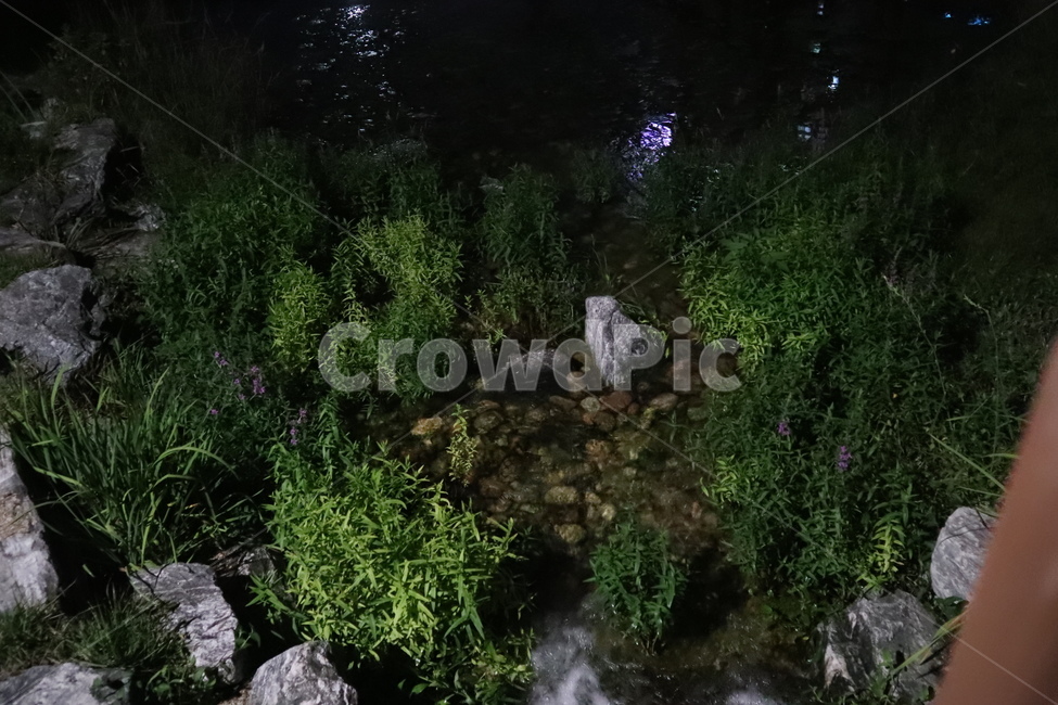 저녁풍경,water,물,nature,자연,outdoors,옥외,강,river