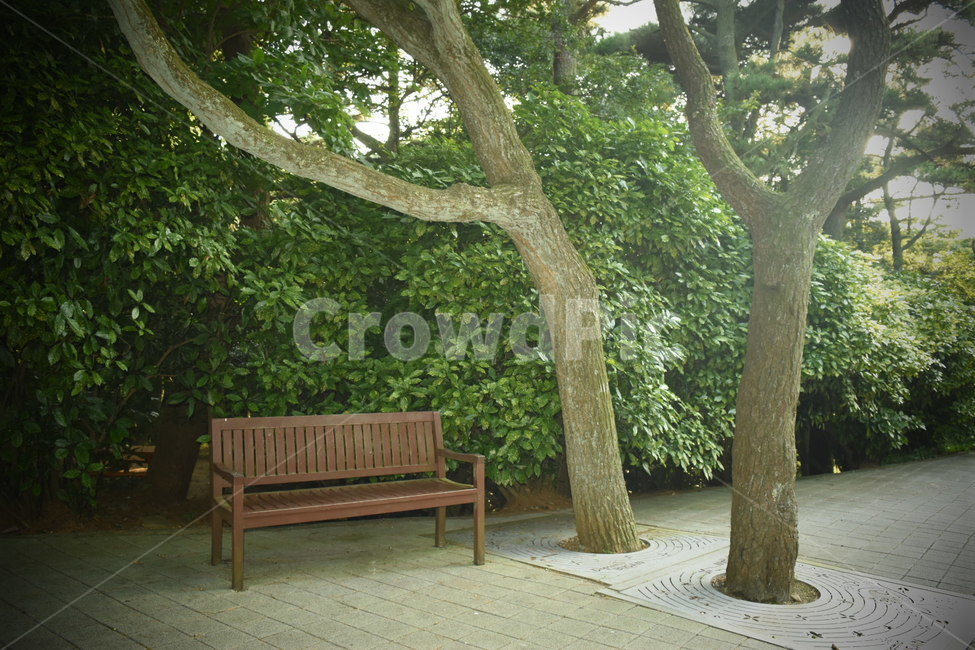 의자,벤치,나무,쉴곳,휴식,쉬는곳,평화로운,peaceful,chair,bench,parkbench,rest,breaktime,tree,relaxing