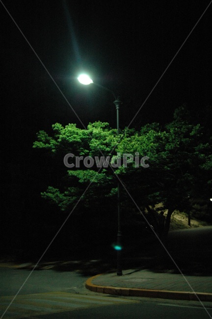 가로등,밤,홀로,나무,밤산책,인도