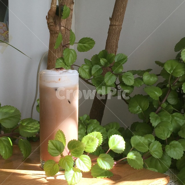 drink,beverage,coffee,커피,홈카페,homecafe,식물,자연,plants,nature,음료수,drink,beverage,커피,카페,coffee,cafe