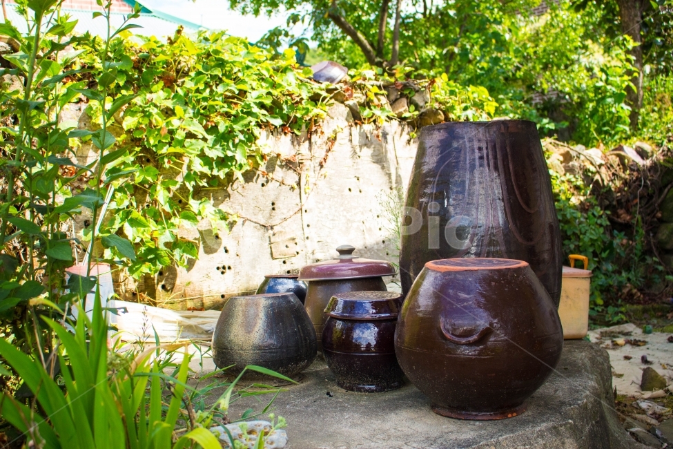 시골,장독,전통,옛풍경,한국전통,한국전통,한국문화,korean traditional,korean culture,사물,물건,오브젝트,thing,object,matter