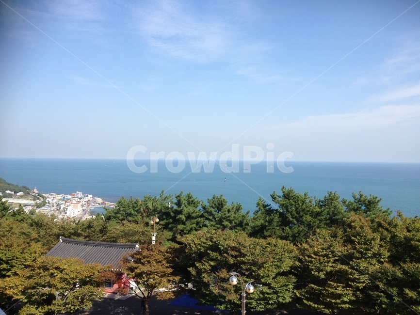 부산,바다,달맞이,풍경,자연