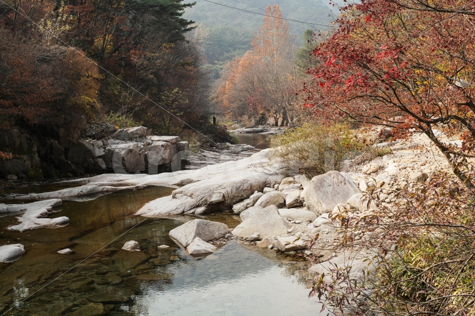 풍경,가을,단풍,계곡,괴산,가을,계절,fall,autumn,season,자연,풍경,nature,landscape,한국자연풍경,한국자연경관,korea nature landscape,plant,식물,tree,나무,water,물