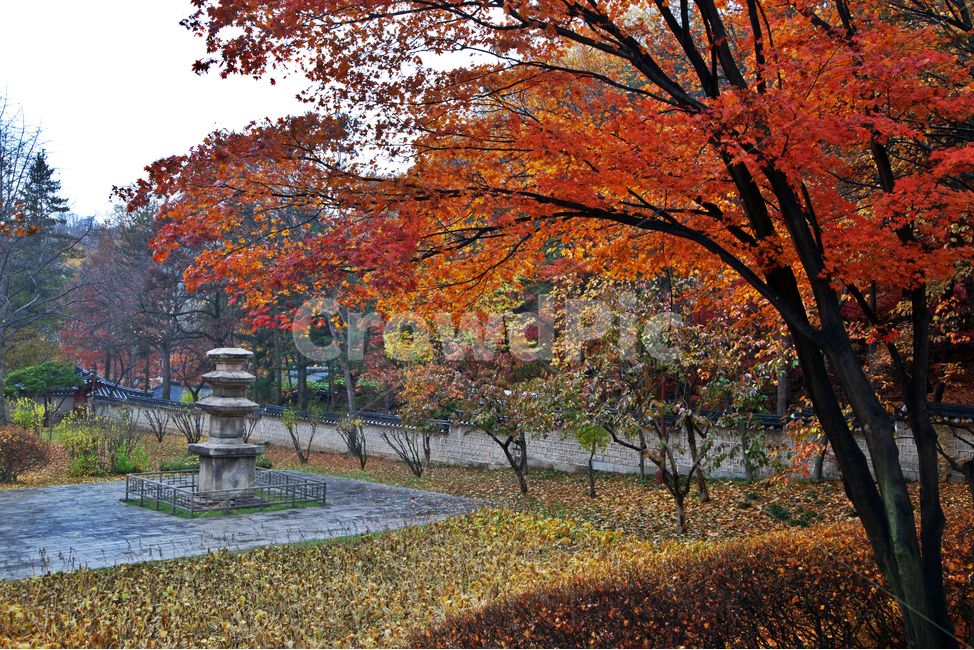 가을,단풍,낙성대공원,공원,계절,삼층석탑,가을,계절,fall,autumn,season