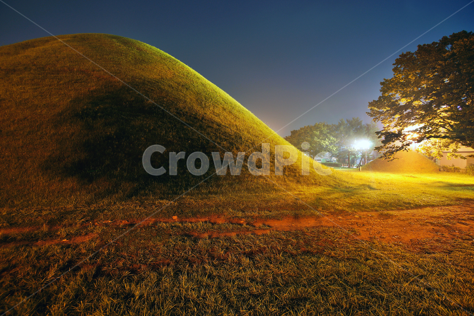 노서리고분군,경주,신라,왕실,무덤,왕릉,야경,밤,풍경,nightscape,night,landscape,랜드마크,landmark,tourist attraction,한국랜드마크,한국관광지,한국명소,korea landmark,korea tourist attraction,grassland,목초지,outdoors,옥외,field,들