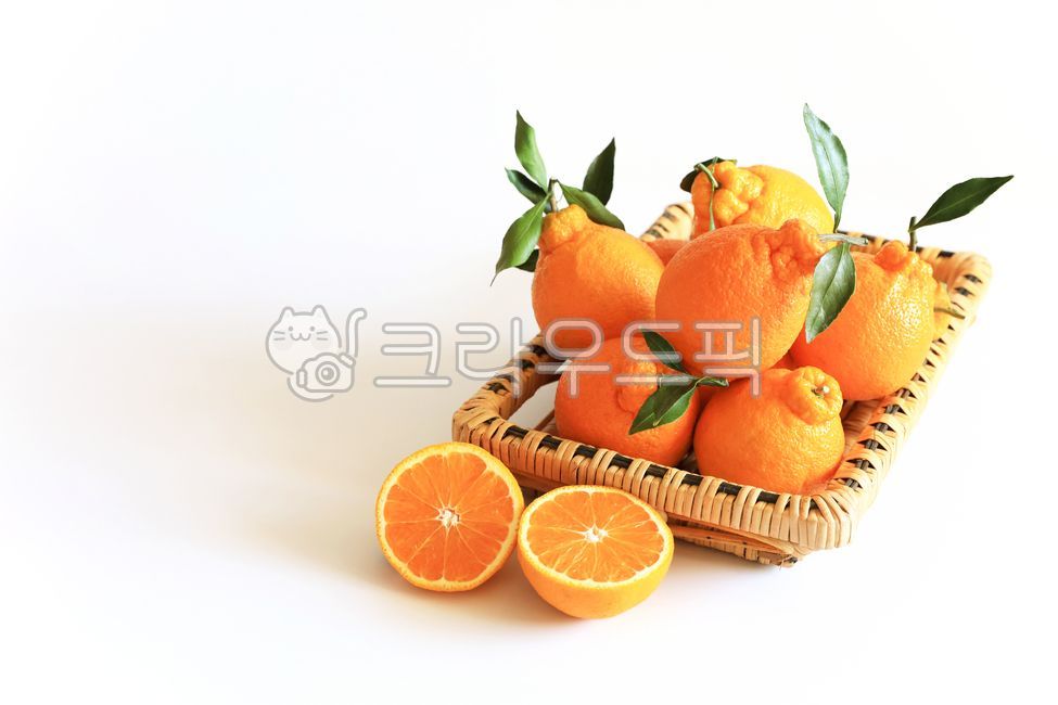 한라봉,과일,열매,디저트,유기농,비타민,농산물,음식,음식,식재료,요리,food,cook,meal,dishes,food reserves,과일,열매,fruit