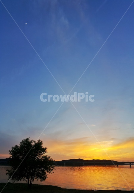 노을,sunset,초승달,나홀로나무,풍경사진,그림자,하늘,자연,풍경,nature,landscape,식물,plants,나무,trees,wood,outdoors,옥외