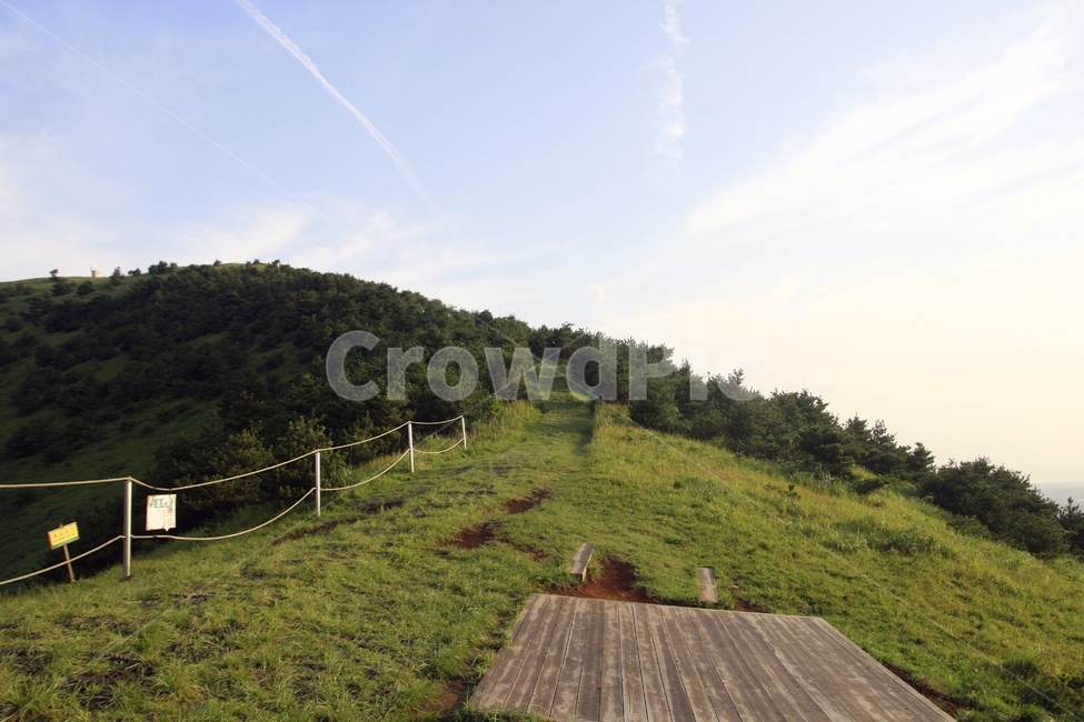 제주도,오름,용눈이오름,제주도아침,제주도풍경,하느라,자연,풍경,nature,landscape,outdoors,옥외