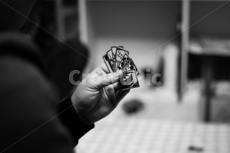 화투,도박,타짜,흑백,손,흑백사진,monochrome,게임,오락,놀이,game,play,흑백,모노톤,monochrome,black and white