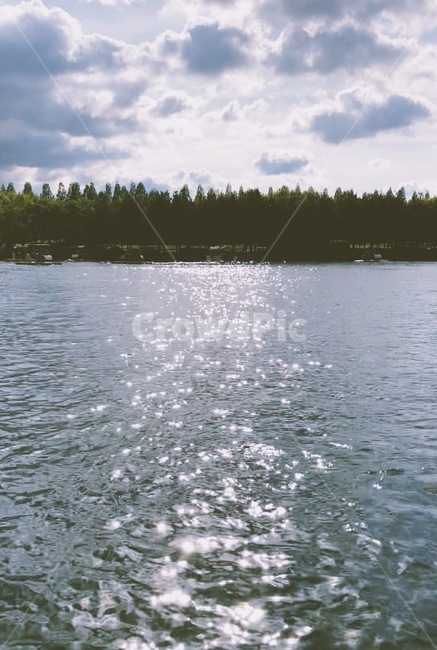 일산,호수공원,윤슬,하늘,나무,호수,풍경,자연,자연,풍경,nature,landscape,outdoors,옥외,water,물