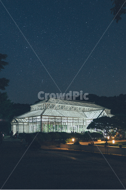 창경궁,대온실,야간개장,궁,은하수,야경,별,온실,풍경,야경,밤,풍경,nightscape,night,landscape,랜드마크,landmark,tourist attraction,한국랜드마크,한국관광지,한국명소,korea landmark,korea tourist attraction,건축물,건물외관,exterior,building,structure,architecture,construction,nature,자연,outdoors,옥외