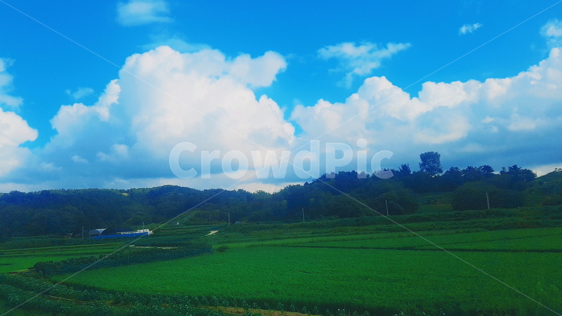 구름,논,풍경,자연,하늘,자연,풍경,nature,landscape,grassland,목초지,field,들,outdoors,옥외,paddy field,패디 필드
