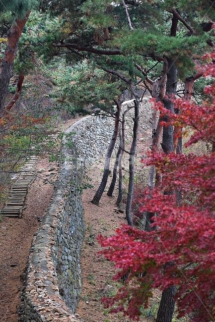 전등사,성,성곽,산성,둘레길,길,숲,숲길,담,돌담,가을,자연,풍경,벽,방어벽,낙엽,단풍,식물,자연,plants,nature,나무,trees,wood