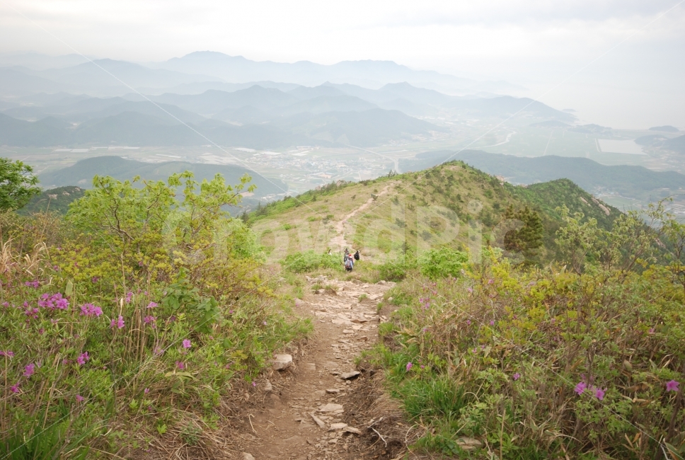 풍경,천관산,길,바다풍경,등산,자연,풍경,nature,landscape,gravel,자갈,dirt road,흙길,road,도로,ground,바닥,slope,경사